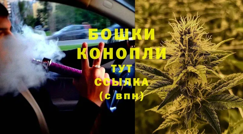 Шишки марихуана OG Kush  Гай 